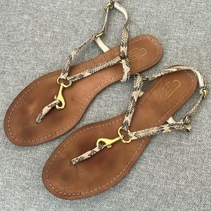 Coach sandals
